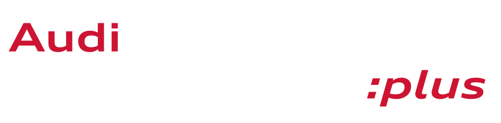 Audi Prima Scelta :plus